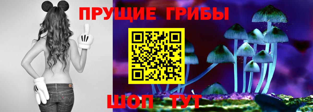 Наро-Фоминск  Галлюциногенные грибы MAGIC MUSHROOMS  Вход с VPN 